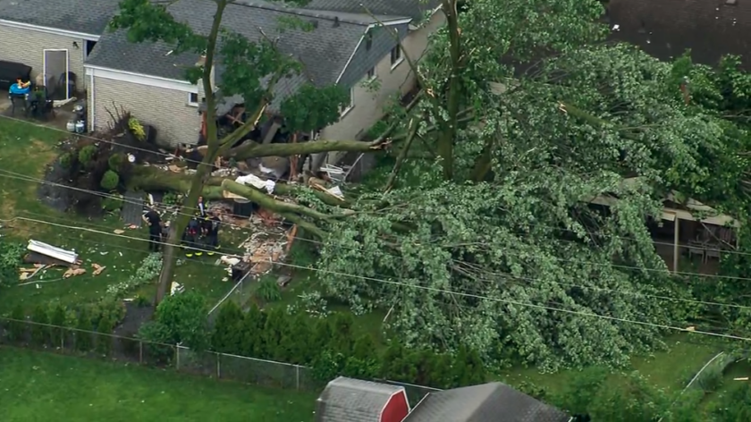 Tragic Tornado in Livonia: 2-Year-Old Killed by Fallen Tree 1 Tragic Tornado in Livonia: 2-Year-Old Killed by Fallen Tree