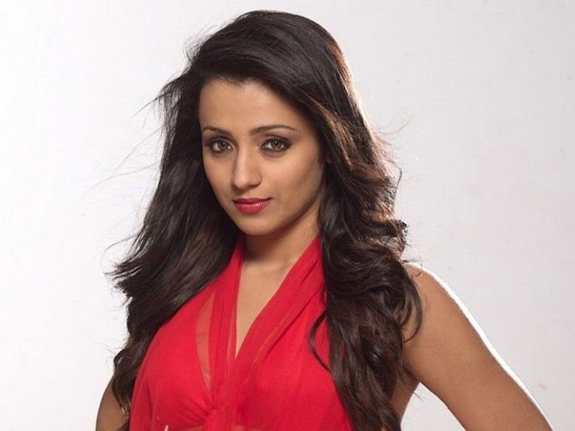 Trisha Filmography All Films Hit Flop Box Office Verdict