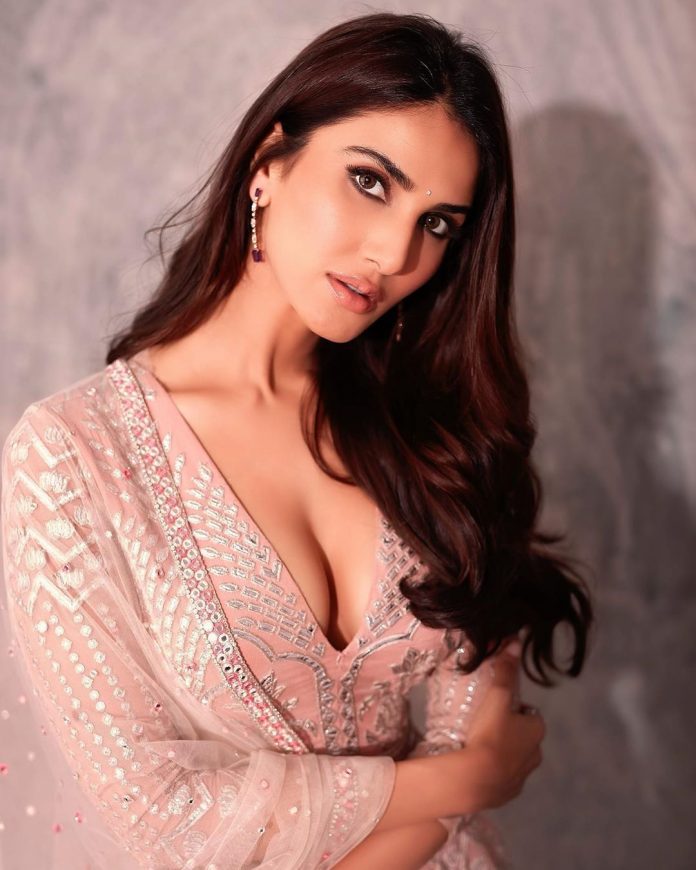 Vaani Kapoor All Films Hit Flop Box Office Verdict