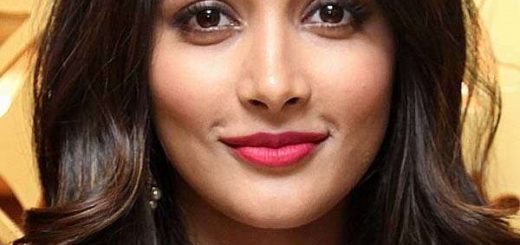 Pooja Hegde Filmography All Movies Hit Flop Box Office Analysis
