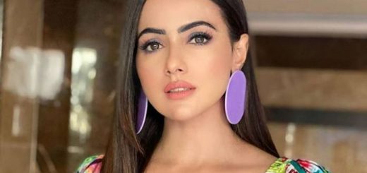 Sana Khan Filmography All Films Hit Flop Box Office Collection