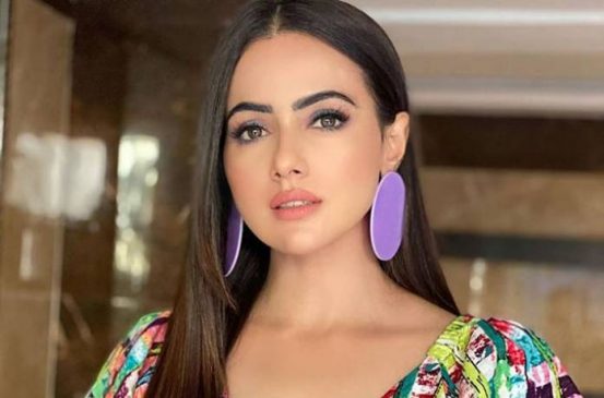 Read more about the article Sana Khan Filmography All Films Hit Flop Box Office Collection