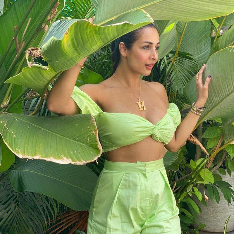 Malaika Arora Wiki Age Height Weight Boyfriend Net Worth