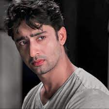 Shaheer Sheikh Wiki Age Height Weight Wife and Net Worth