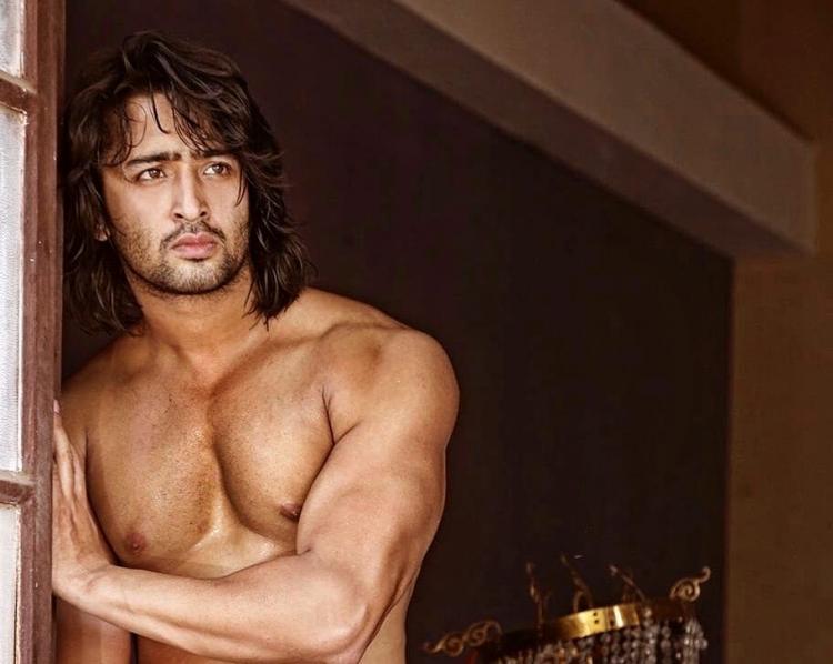 Shaheer Sheikh Wiki Age Height Weight Wife and Net Worth