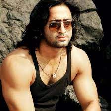 Shaheer Sheikh Wiki Age Height Weight Wife and Net Worth