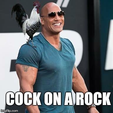 Dwayne The Rock Johnson 11 Funny Memes