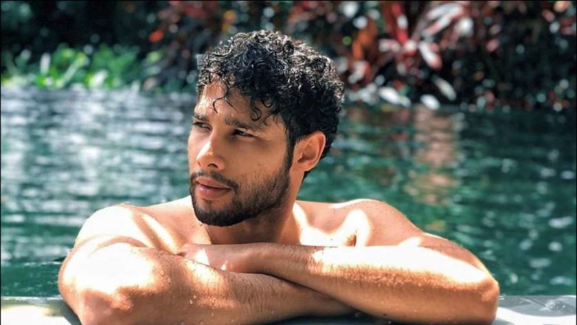Siddhant Chaturvedi All Films Hit Flop Box Office Analysis