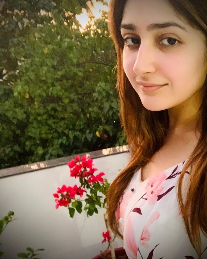 Sayyeshaa Wiki Age Height Weight Net Worth