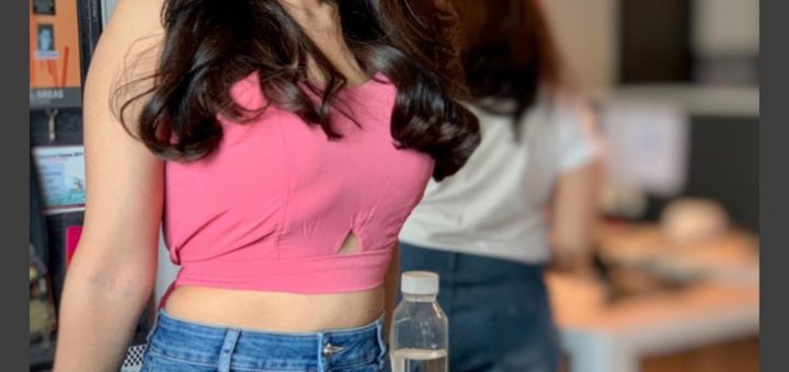 Vaibhavi Shandilya All Films Hit Flop Box Office Analysis