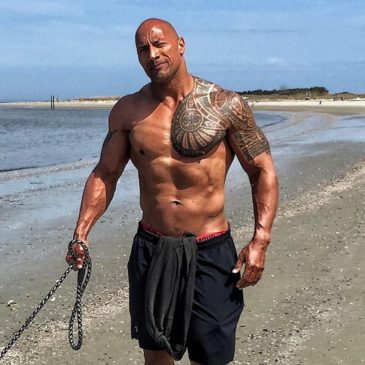 Dwayne Johnson All Movies Box Office Collections