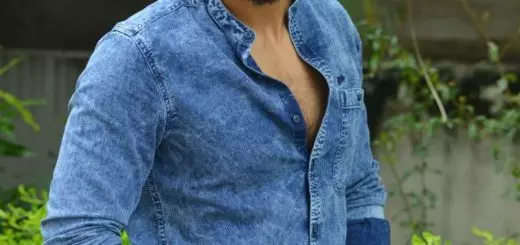 Kartikeya All Films Hit Flop Box Office Analysis