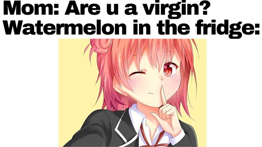 Best Of 15 Hilarious Anime Memes Virgin