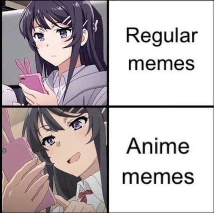 Hilarious Anime Memes