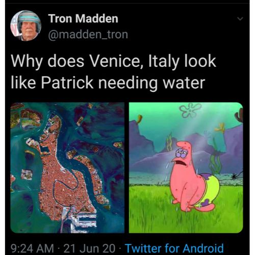 why does venice italy look like patrick needing water Best Of Spongebob memes