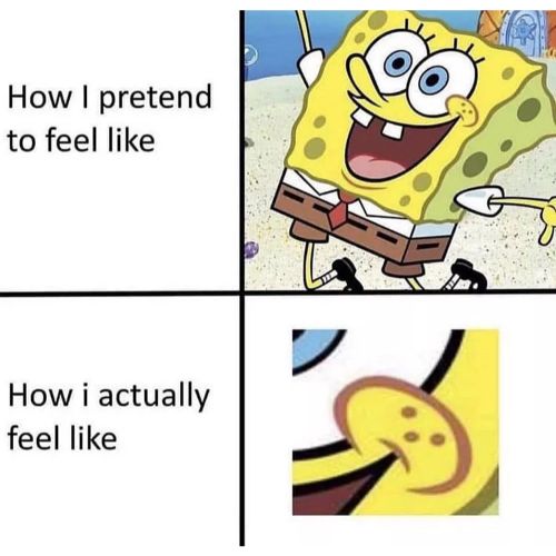 Best Of Spongebob Memes Trending On Social Media How I pretend to feel like how i actually feels