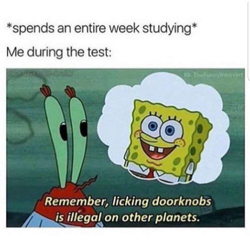 During test Spongebob memes