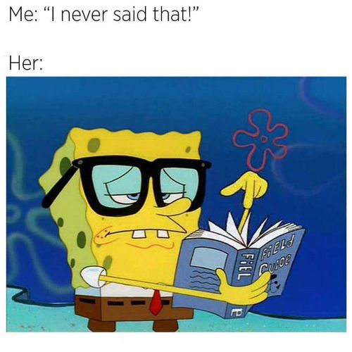 I never said that she Spongebob memes
