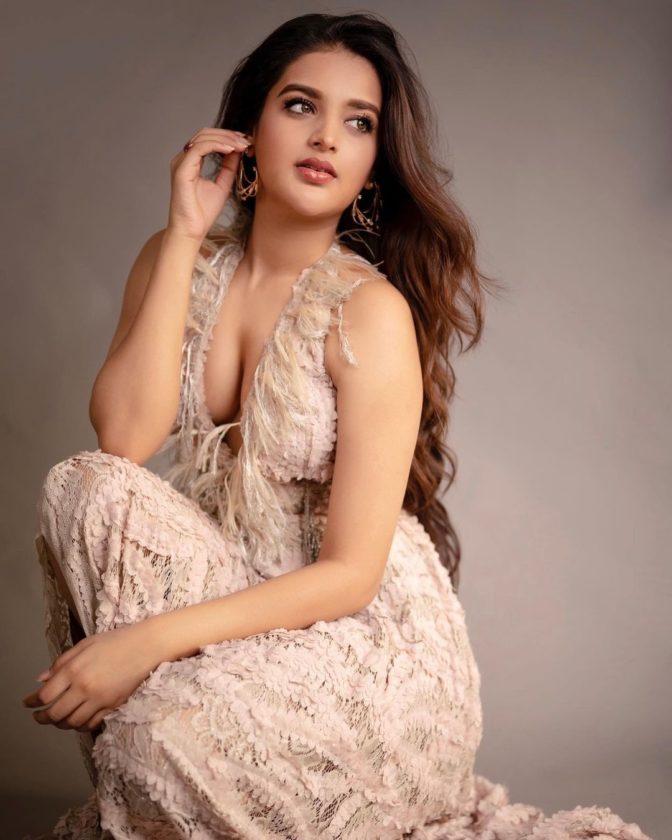 Nidhhi Agerwal Hot Gorgeous Pictures
