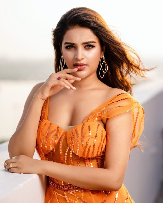 Nidhhi Agerwal Hot Gorgeous Pictures