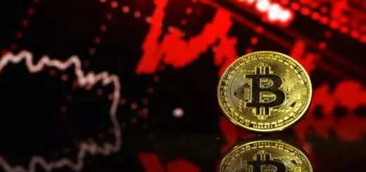 Bitcoin Twitter Handles You Should Follow For Latest Updates