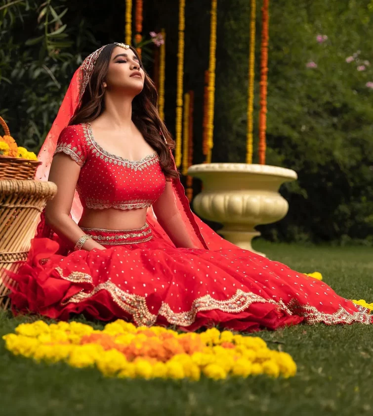 South Indian Actress Nabha Natesh In Perfect Desi Lehanga