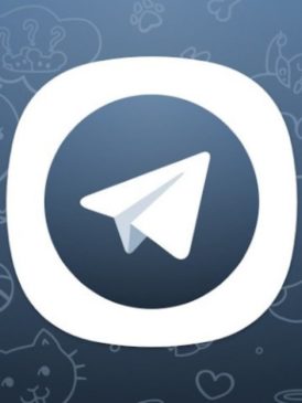 Read more about the article Spanish Court Halts Telegram Ban Awaiting Police Investigation Report