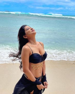 Read more about the article Birthday Girl Sakshi Agarwal Alluring In Black Bikini