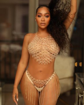 Read more about the article Video Of LaLa Anthony Diamond Bikini