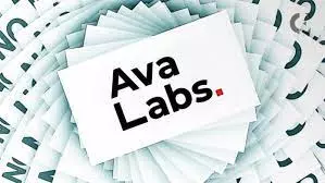 Ava Labs and Roche Freedman denied wrongdoings