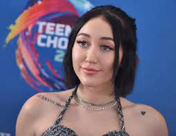 Noah Cyrus Releases Song Inspired by Parents