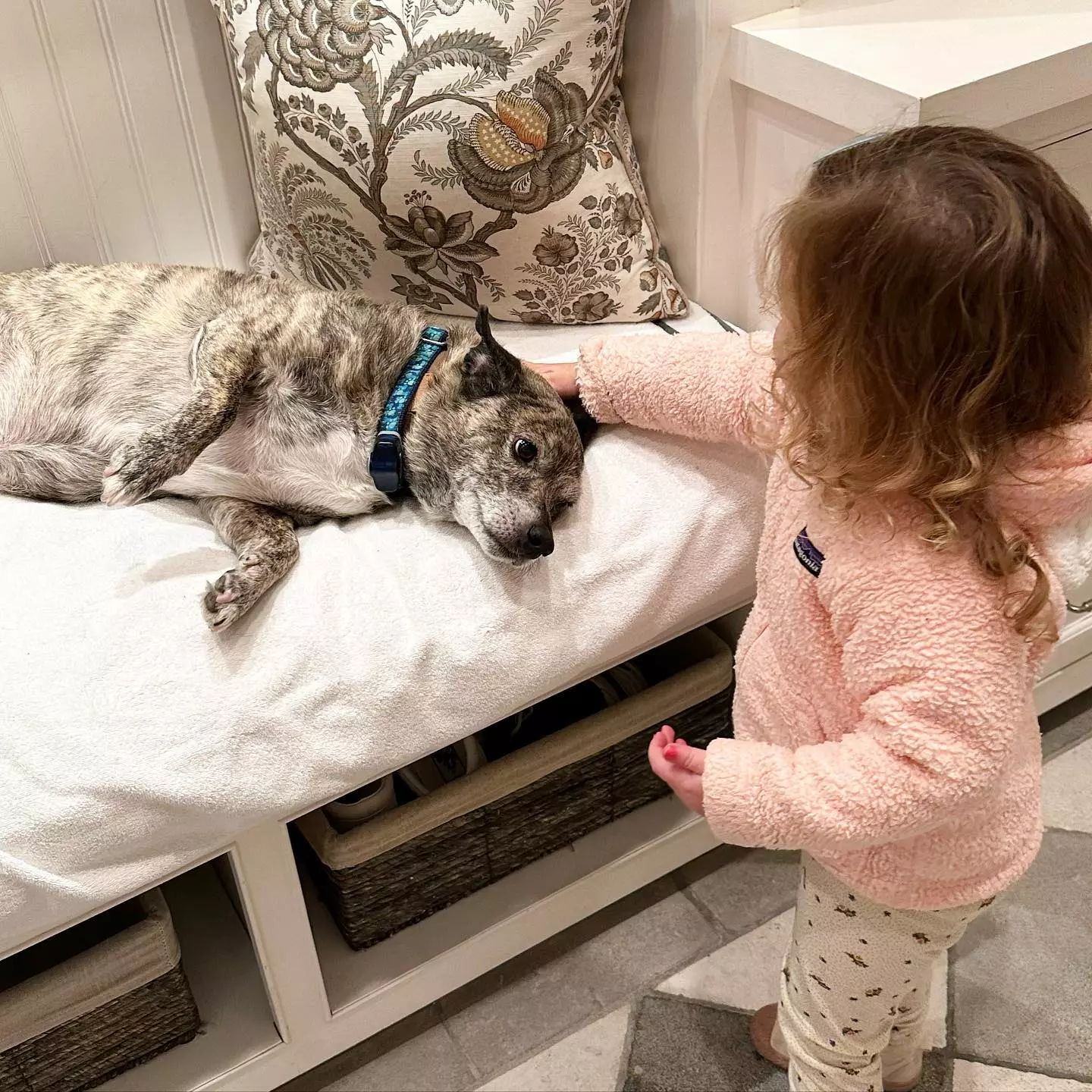 Lyla Maria Schwarzenegger Pratt, Daughter of Chris and Katherine