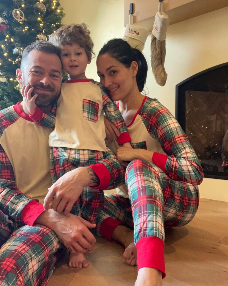 Matteo Artemovich Chigvintsev, Son of Nikki Bella and Artem Chigvintsev