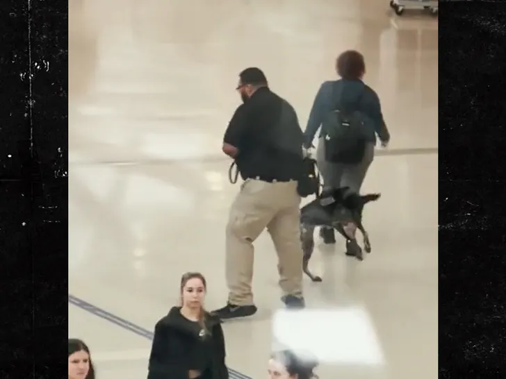 Following a viral video of a TSA worker yanking a dog around, the worker has been suspended