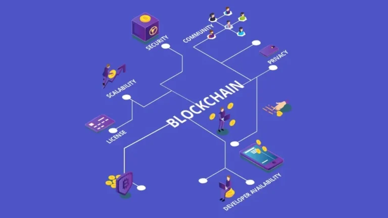 Illuminating the Stellar Squad: Pioneering Innovation in Blockchain Protocol Development