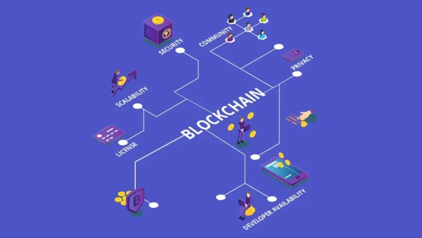 Illuminating the Stellar Squad: Pioneering Innovation in Blockchain Protocol Development