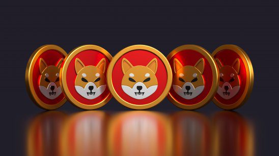 Read more about the article Shiba Inu Raises $12 Million for New Token TREAT from International Investors