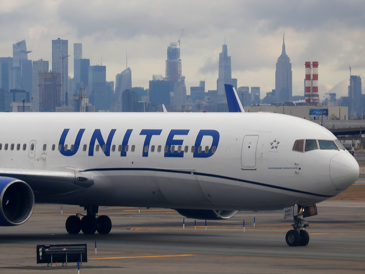 United Airlines Faces Cleanup Challenge: Dog Feces Found on Seats