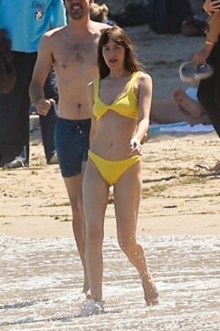 Read more about the article Dakota Johnson Stuns in Bikini in Malibu Beach Day with Pal Jeremy Allen White