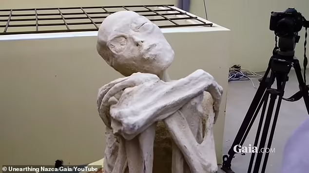 New Study on 'Alien Mummies' Uncovered in Peru Suggests They May Be Authentic