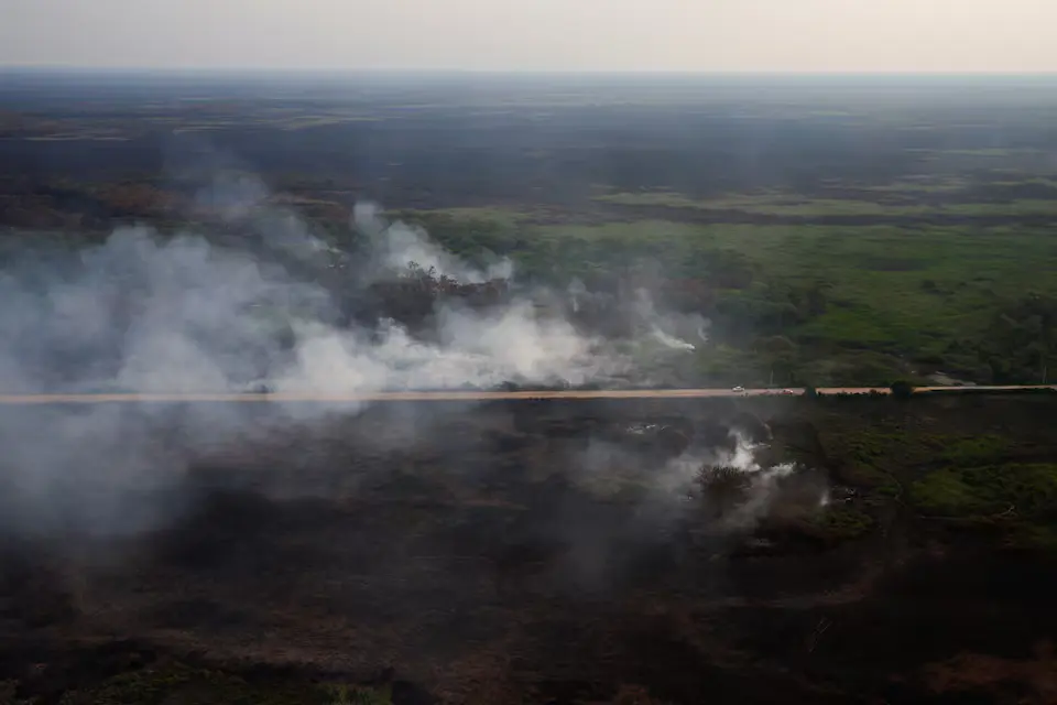 Pantanal Wetlands Fires Surge Nearly Tenfold in 2024, Raising Alarm for Wildlife and Ecosystem