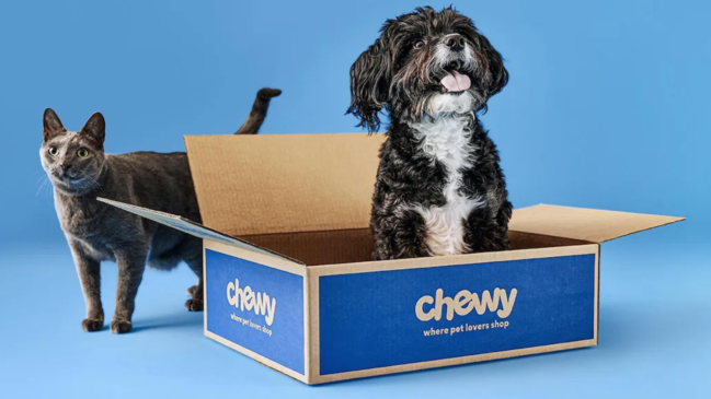 Read more about the article Chewy Shares Surge 20% After “Roaring Kitty” Keith Gill Discloses 6.6% Stake