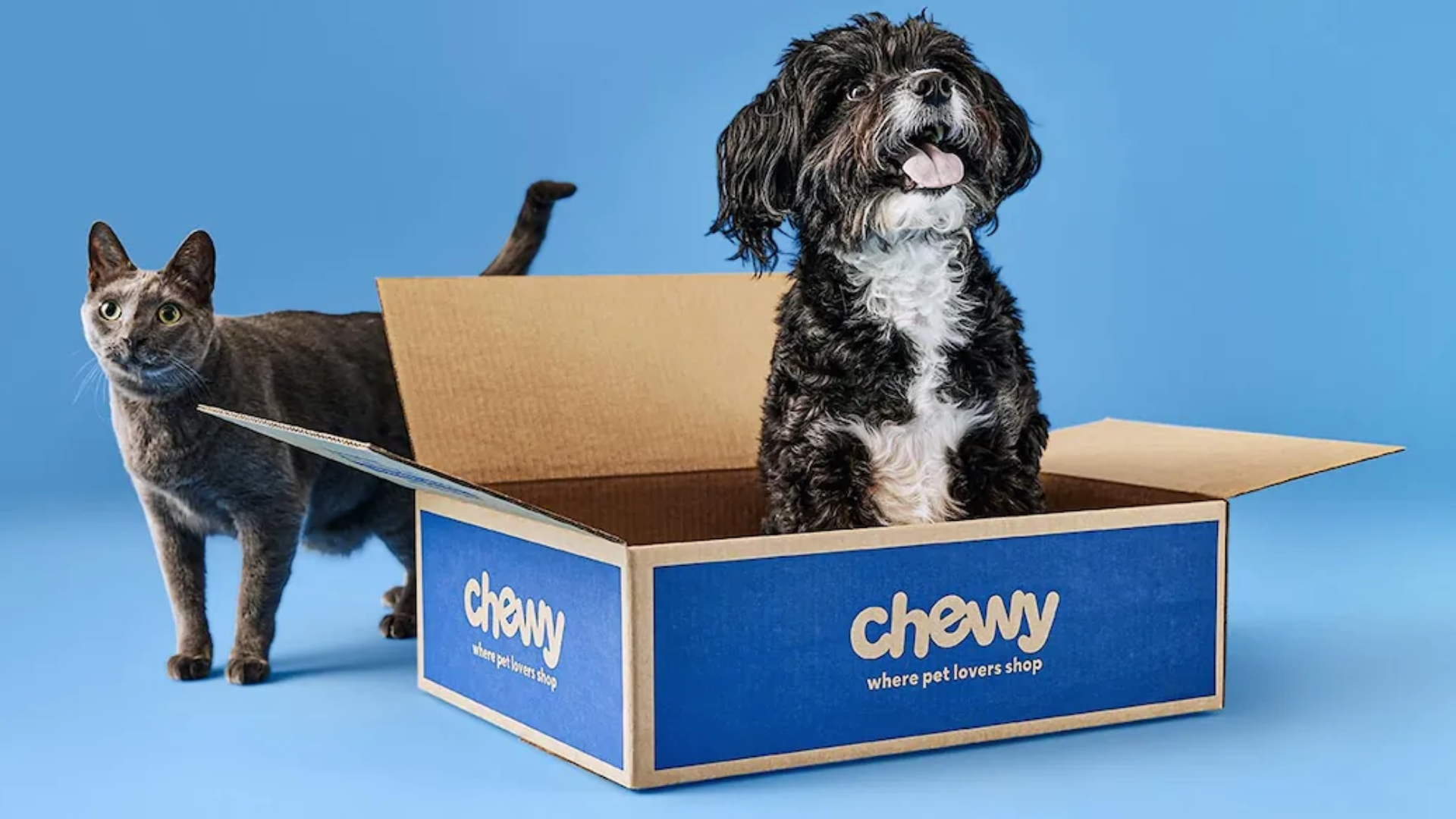 Chewy Shares Surge 20% After "Roaring Kitty" Keith Gill Discloses 6.6% Stake