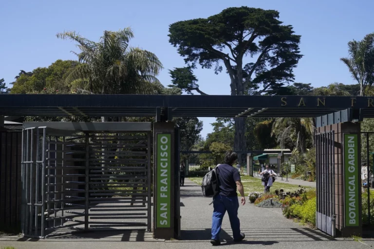 Wildlife Officers Euthanize Three Coyotes After Attack on 5-Year-Old Girl in San Francisco