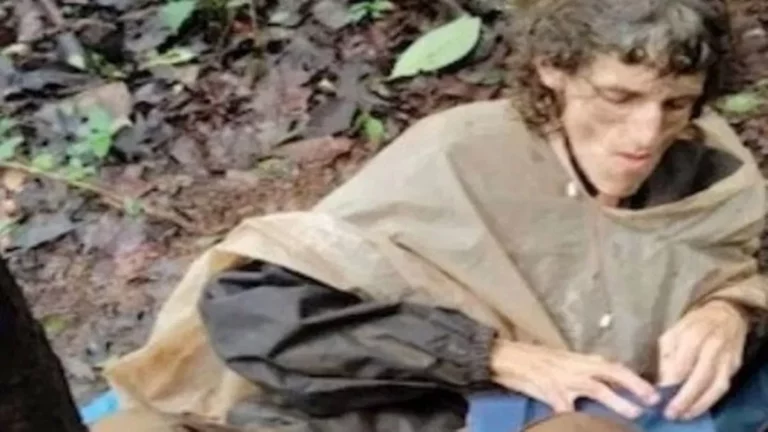 Woman Found Bound to Tree in Maharashtra Forest, Authorities Investigate Disturbing Incident