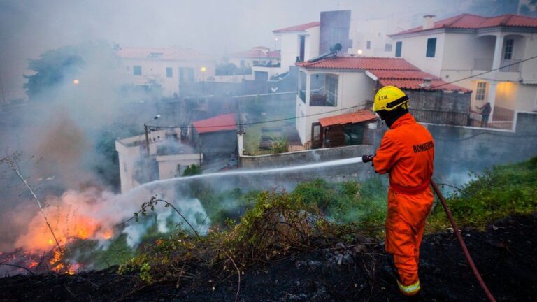 Madeira Forest Fire Brought Under Control After 11 Days
