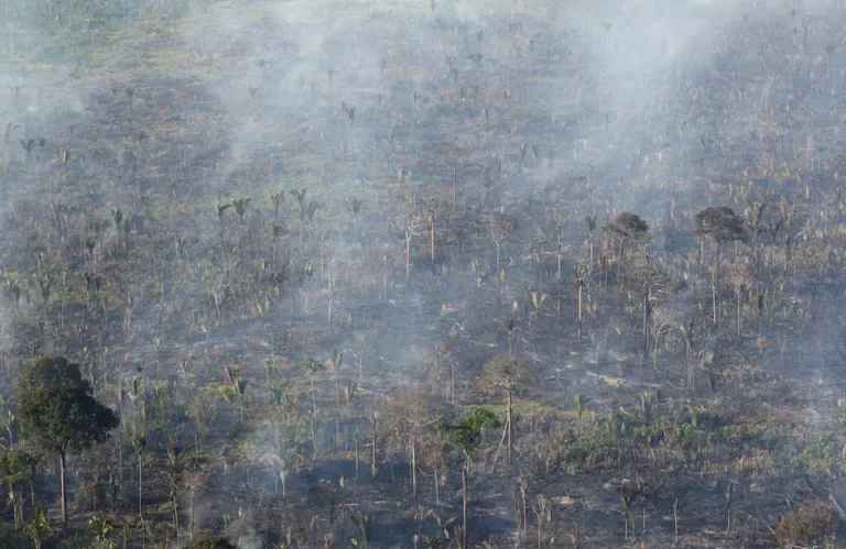 Record Fires Ravage Brazil's Amazon Rainforest Amid Severe Drought