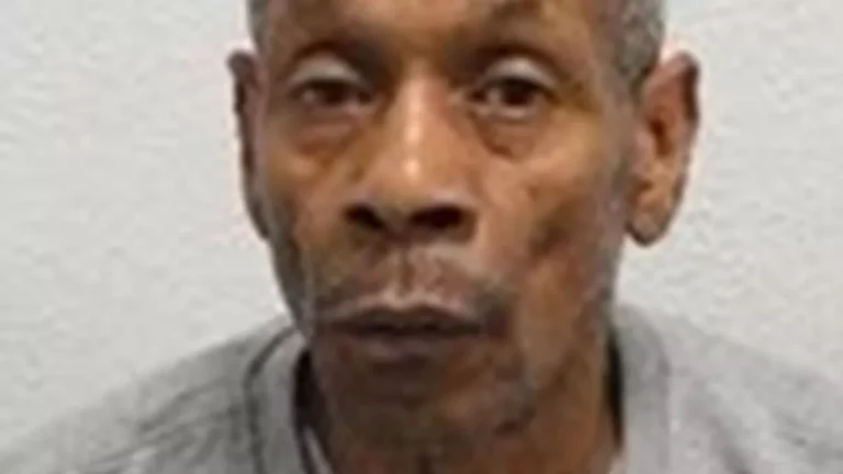 Four Metropolitan Police Officers Face Misconduct Investigation Following Murders of Two Women by Carl Cooper