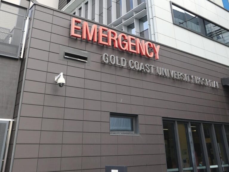 Toddler Bitten by Snake at Gold Coast Show Amid Surge in Snake Sightings