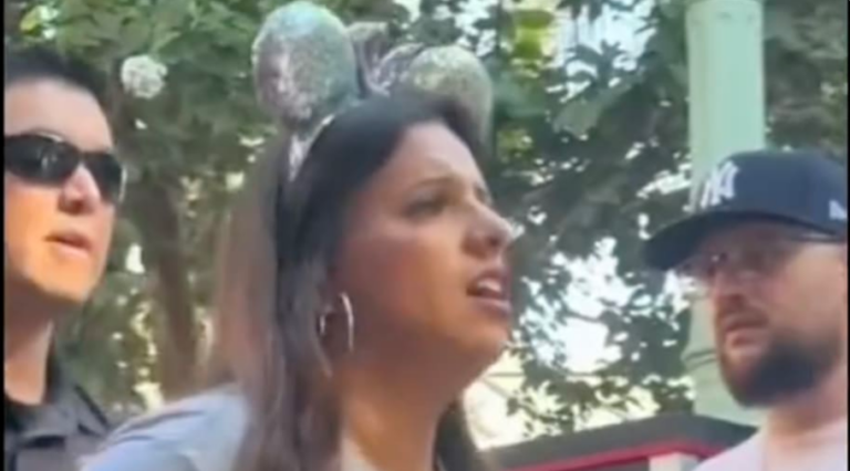 Woman Arrested in Viral Disneyland Video Plans to Sue Theme Park Over Alleged Ticket Dispute